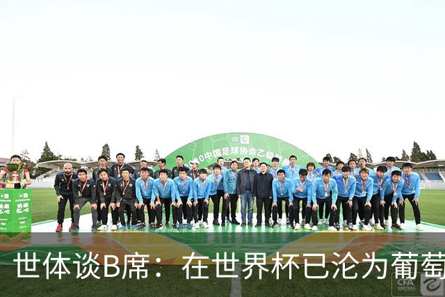 世体谈B席：在世界杯已沦为葡萄牙替补 去皇马能否重现昔日风采？