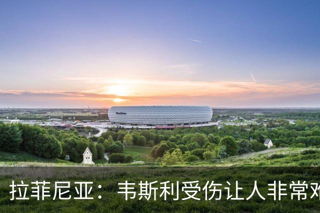 拉菲尼亚：韦斯利受伤让人非常难过，但他还年轻未来还有很多机会