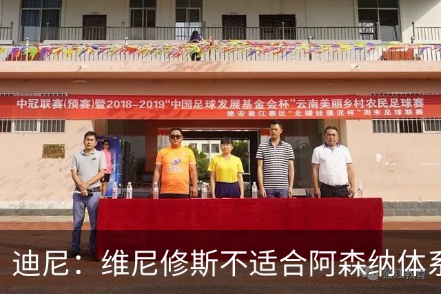 迪尼：维尼修斯不适合阿森纳体系，他的性格也不适合塔帅的风格