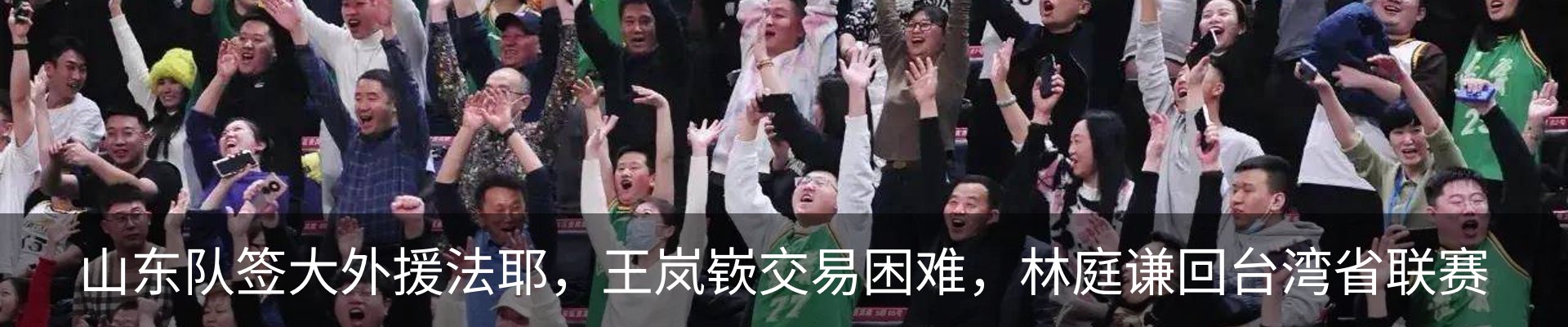 新闻动态