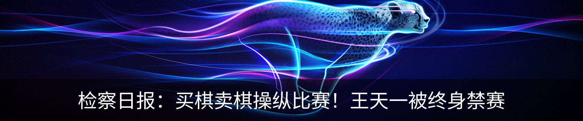 新闻动态