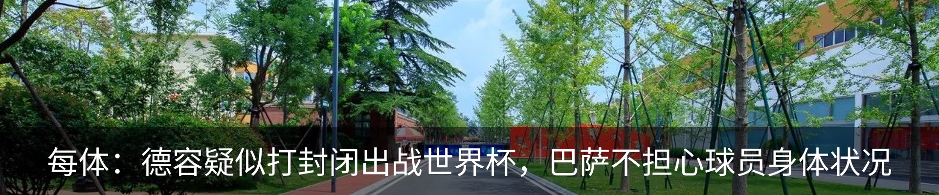 新闻动态