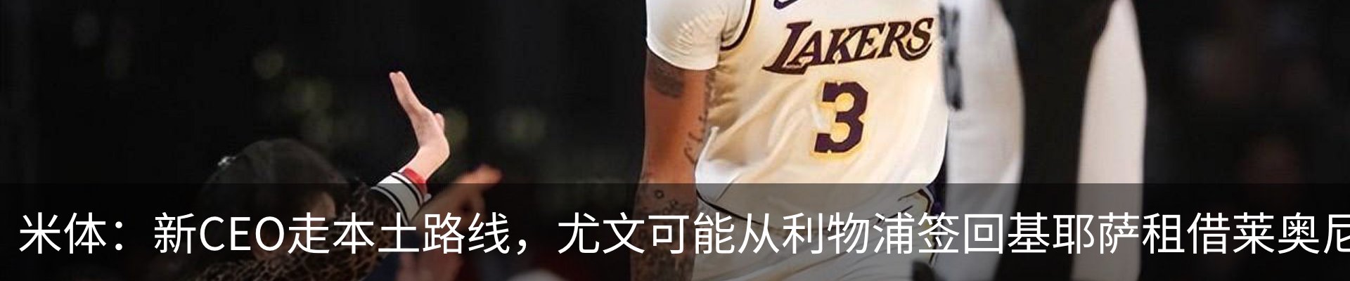 新闻动态
