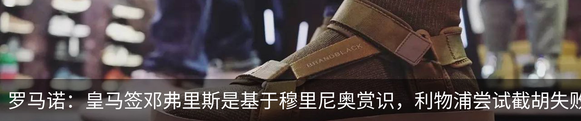 新闻动态