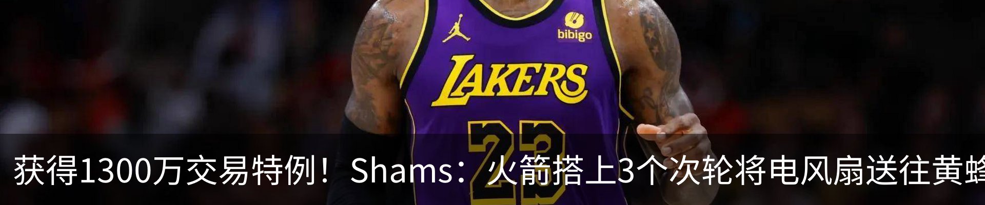 新闻动态