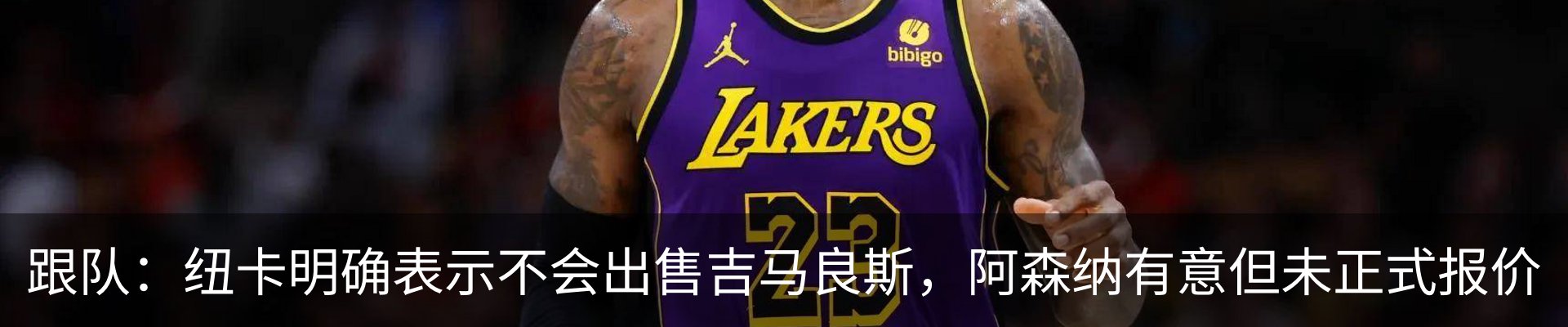 新闻动态