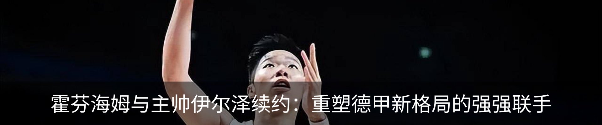 新闻动态