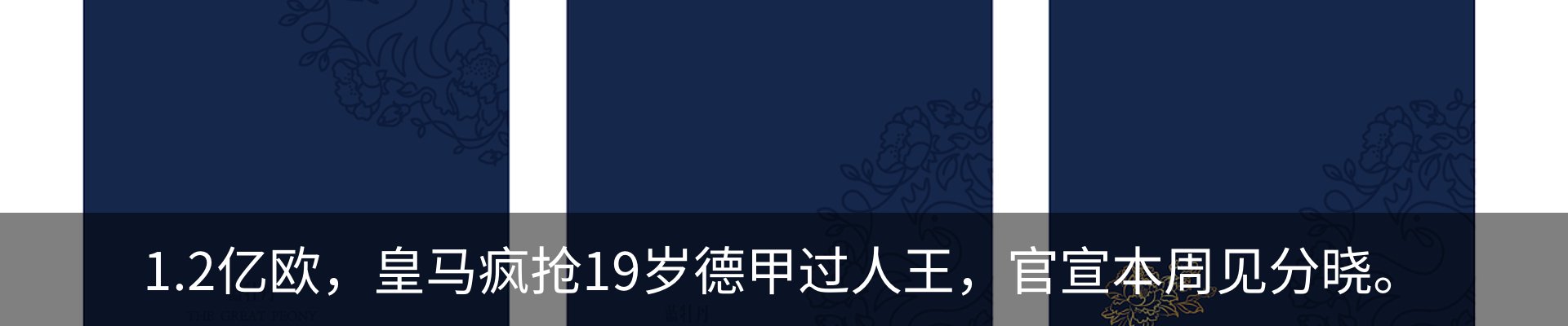 新闻动态