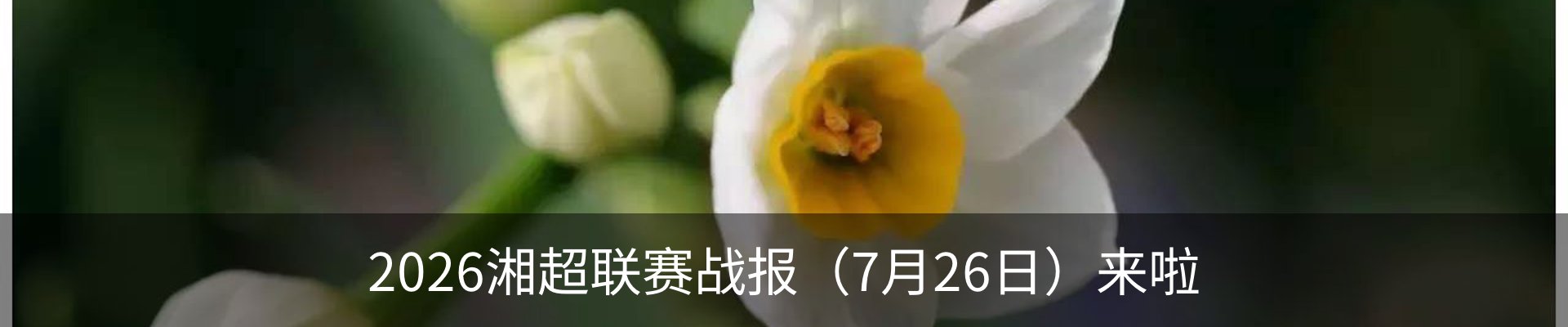 新闻动态