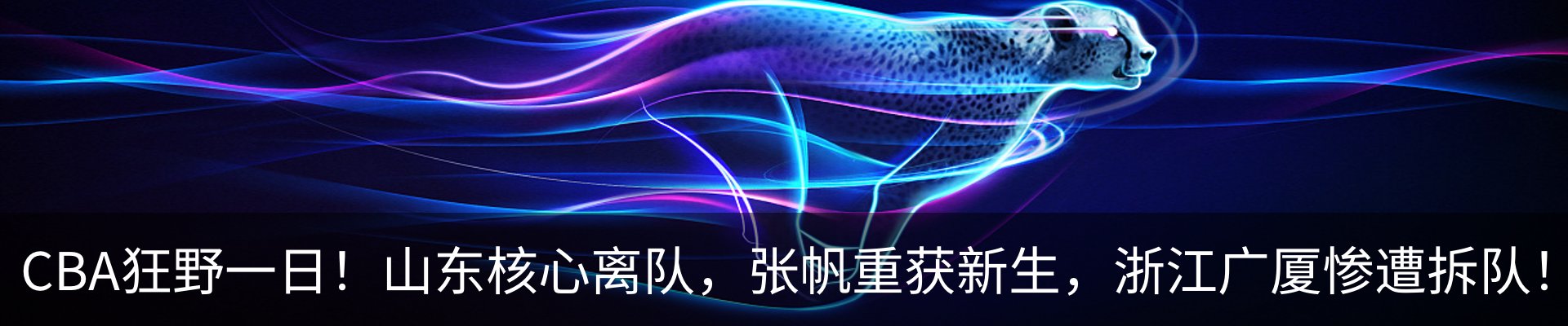 新闻动态